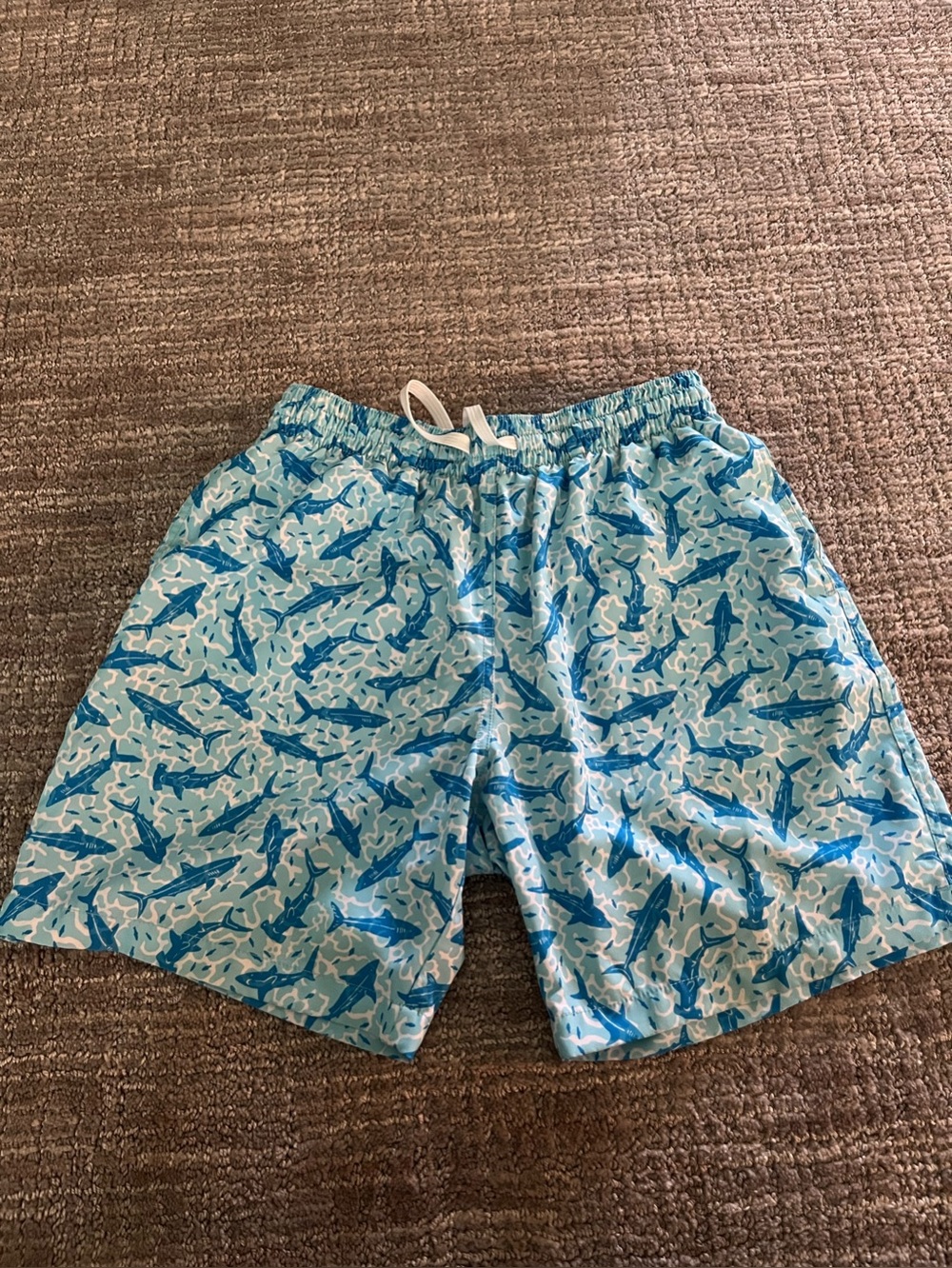 Chubbies swim trunks